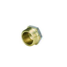 Cap Male Screw Fitting with Nikle-Plated (Hz8046)